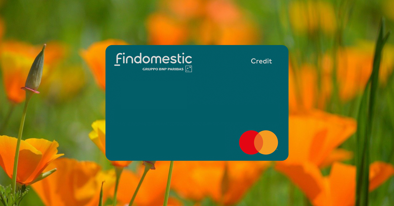 Come Richiedere la Carta di Credito Findomestic Guida Completa 2025