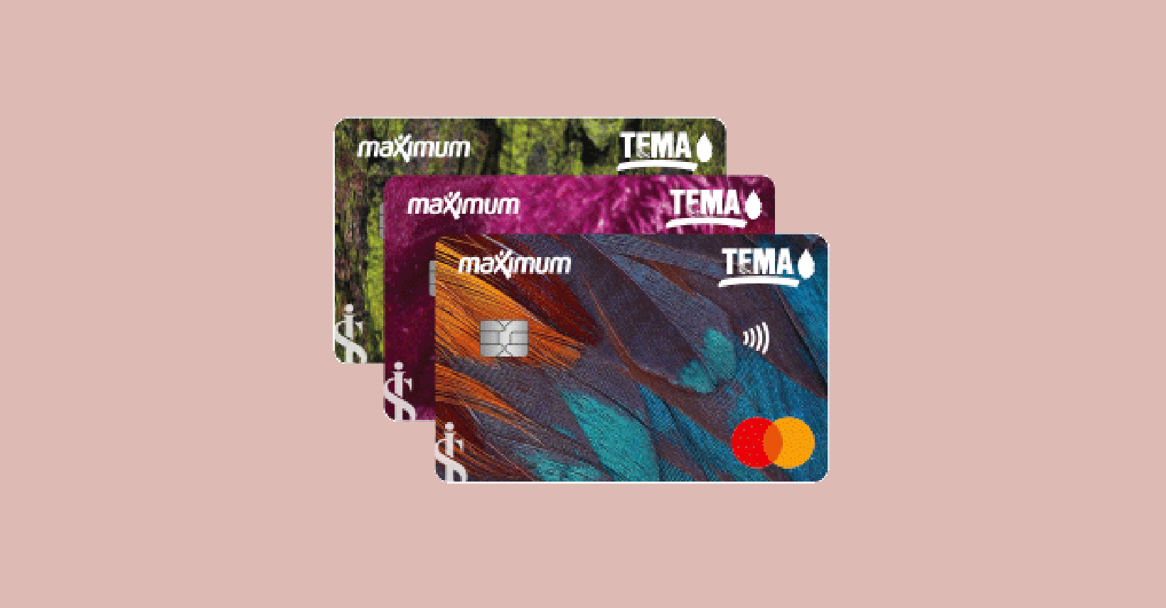 İşbank Maximum TEMA Kredi Kartına Başvuru Nasıl Yapılır